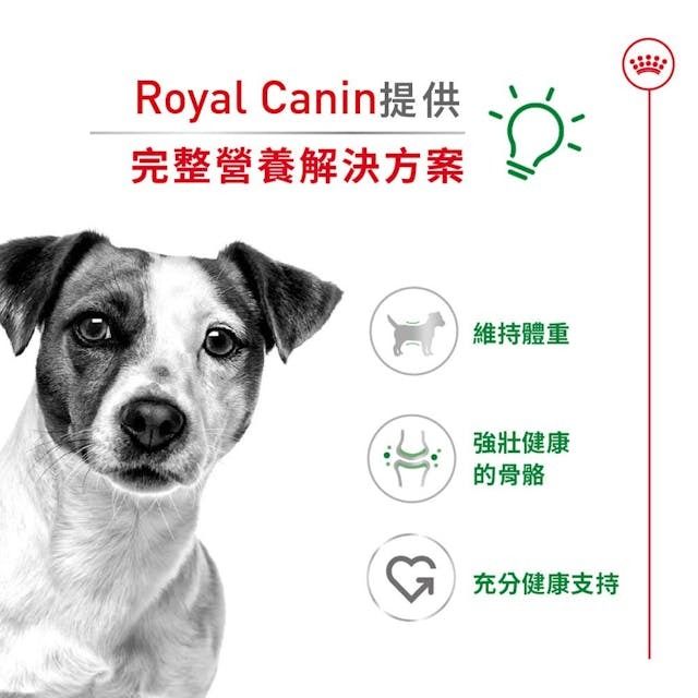 SHN 小型成犬營養配方 8公斤