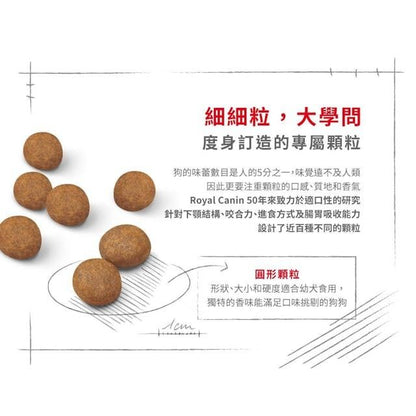 SHN 大型幼犬營養配方 15公斤 (包裝隨機提供)