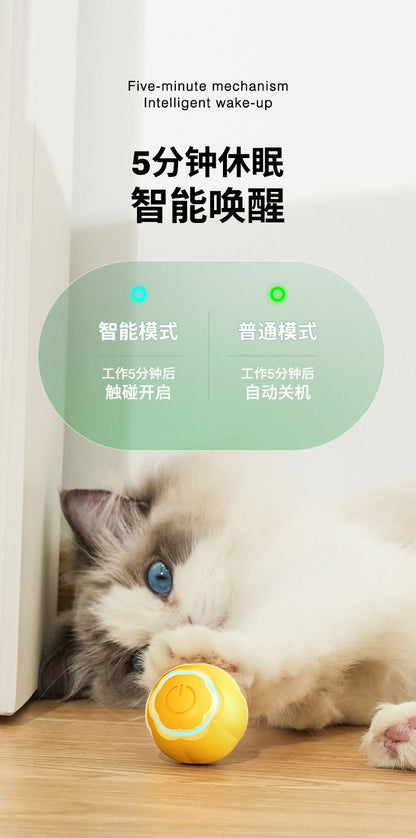 咀嚼貓球 自動滾動 互動滾動球 綠色