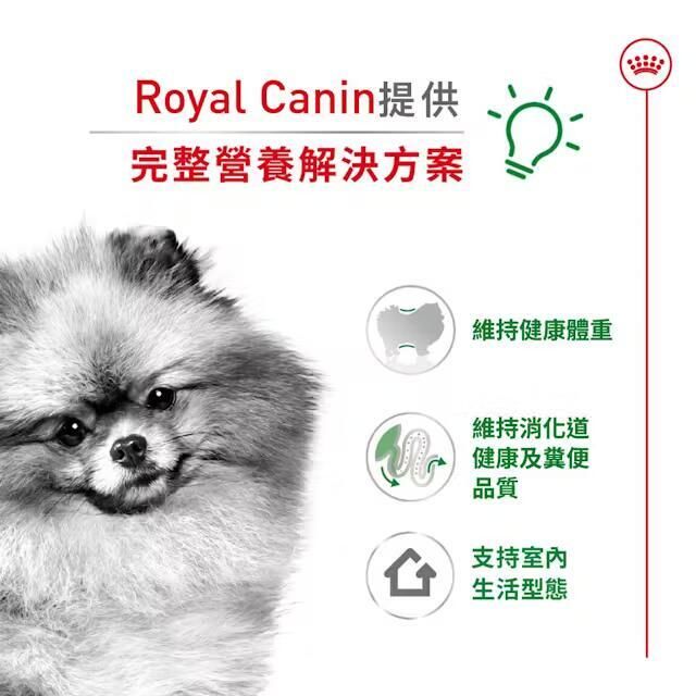 SHN 室內小型老犬營養配方 3公斤 [2435030011] [包裝隨機提供]