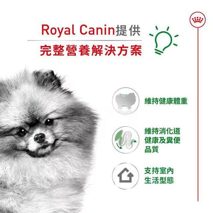 SHN 室內小型老犬營養配方 3公斤 [2435030011] [包裝隨機提供]