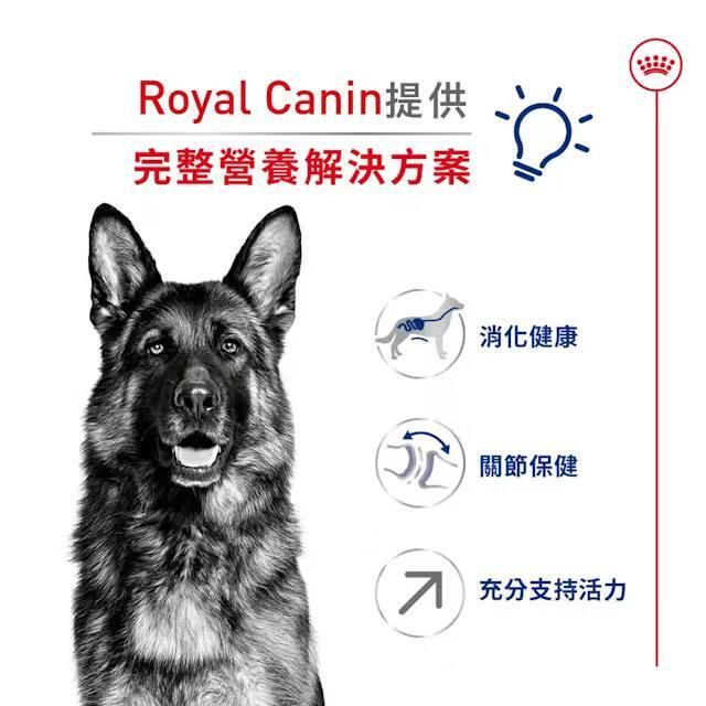 SHN 大型熟齡犬5+營養配方 15公斤 [3008150011]