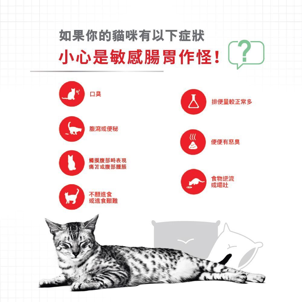 FHN 成貓消化道加護主食濕糧 (肉汁) 85克 X 12 (包裝隨機提供)