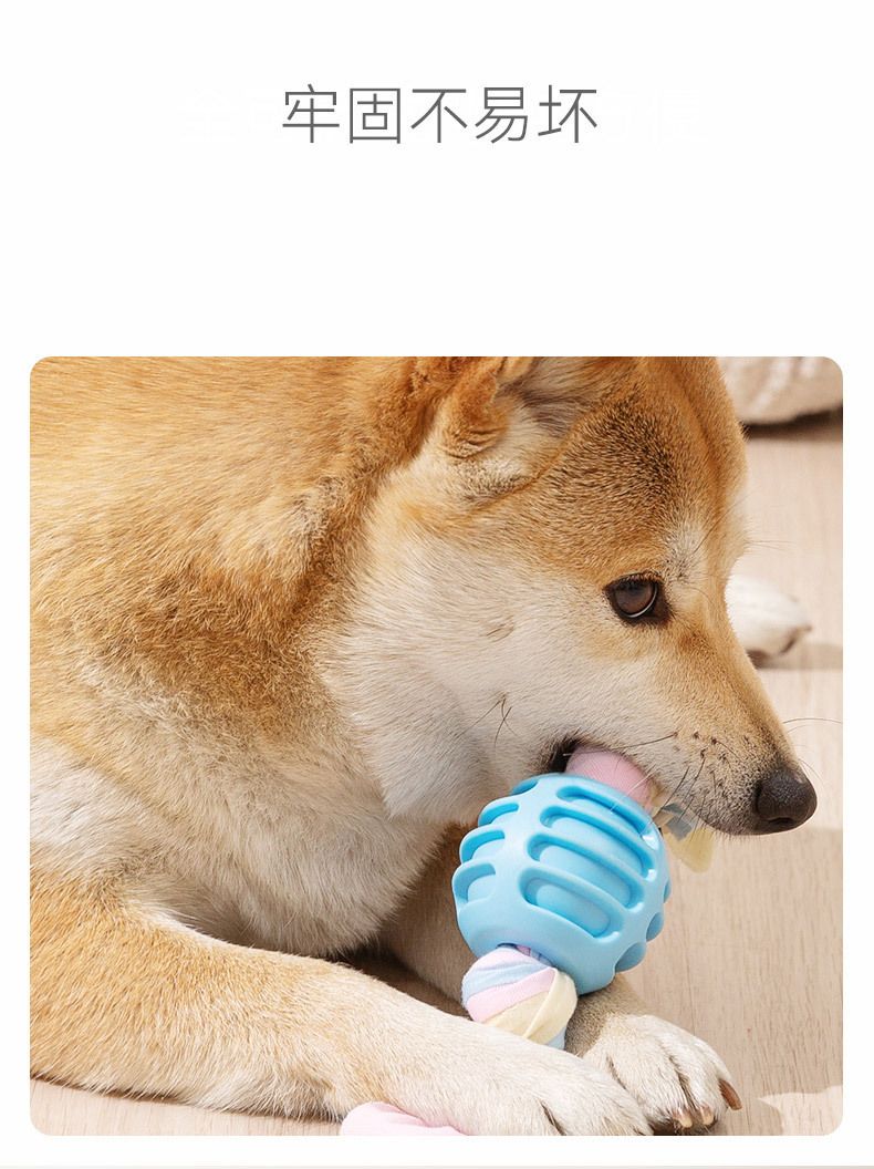 Hipidog TPR糖果小狗狗玩具 磨牙耐咬 可水洗潔牙橡膠用品 藍色凹凸球布條