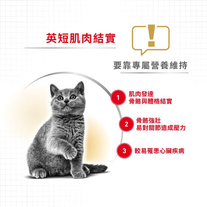 FBN 英國短毛成貓專屬配方 4公斤