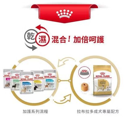 BHN 拉布拉多成犬專屬配方 12公斤 [2555400]