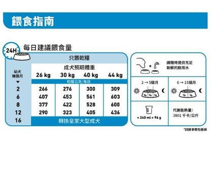 SHN 大型幼犬營養配方 15公斤 (包裝隨機提供)