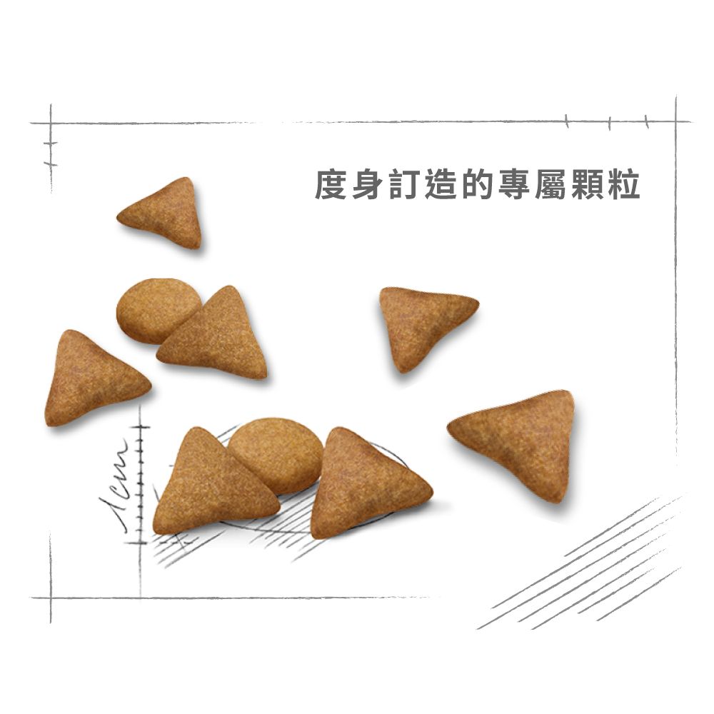 ROYAL CANIN 室內成貓食量控制營養配方4公斤