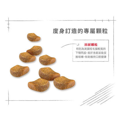 FBN 英國短毛成貓專屬配方 4公斤