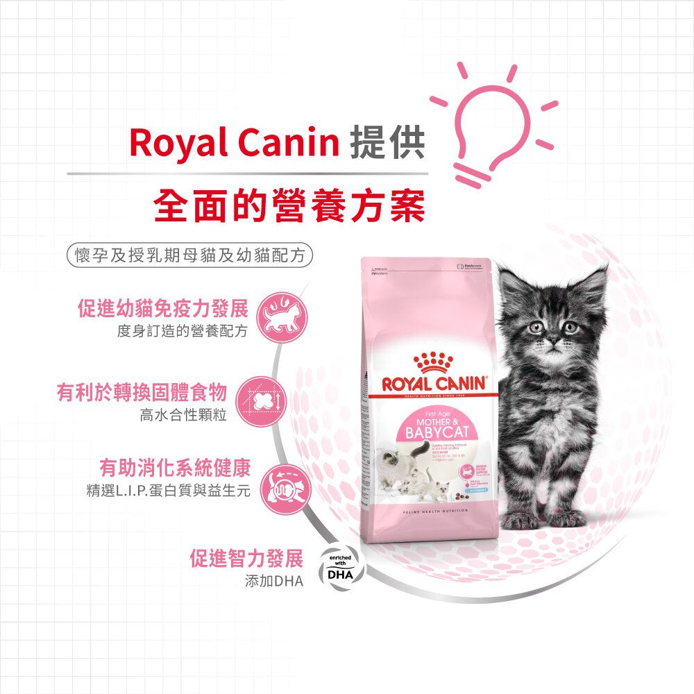 FHN 離乳貓及母貓營養配方 4公斤 (兩款包裝隨機提供)
