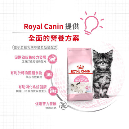 FHN 離乳貓及母貓營養配方 4公斤 (兩款包裝隨機提供)