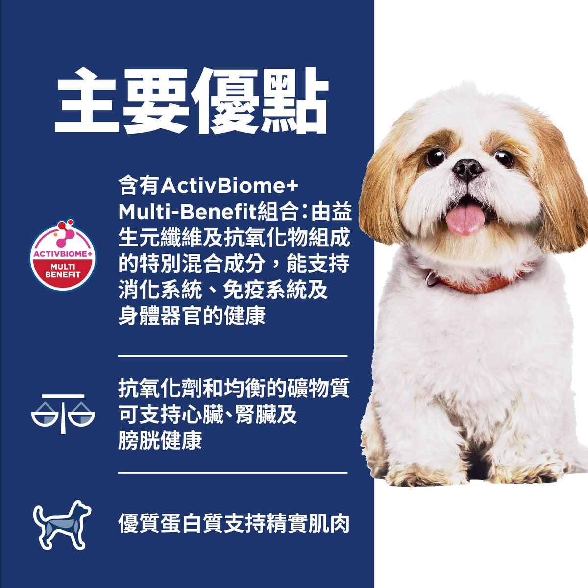 高齡犬 7+ 日常系列 細粒 狗乾糧 2公斤(包裝隨機提供) 10334HG