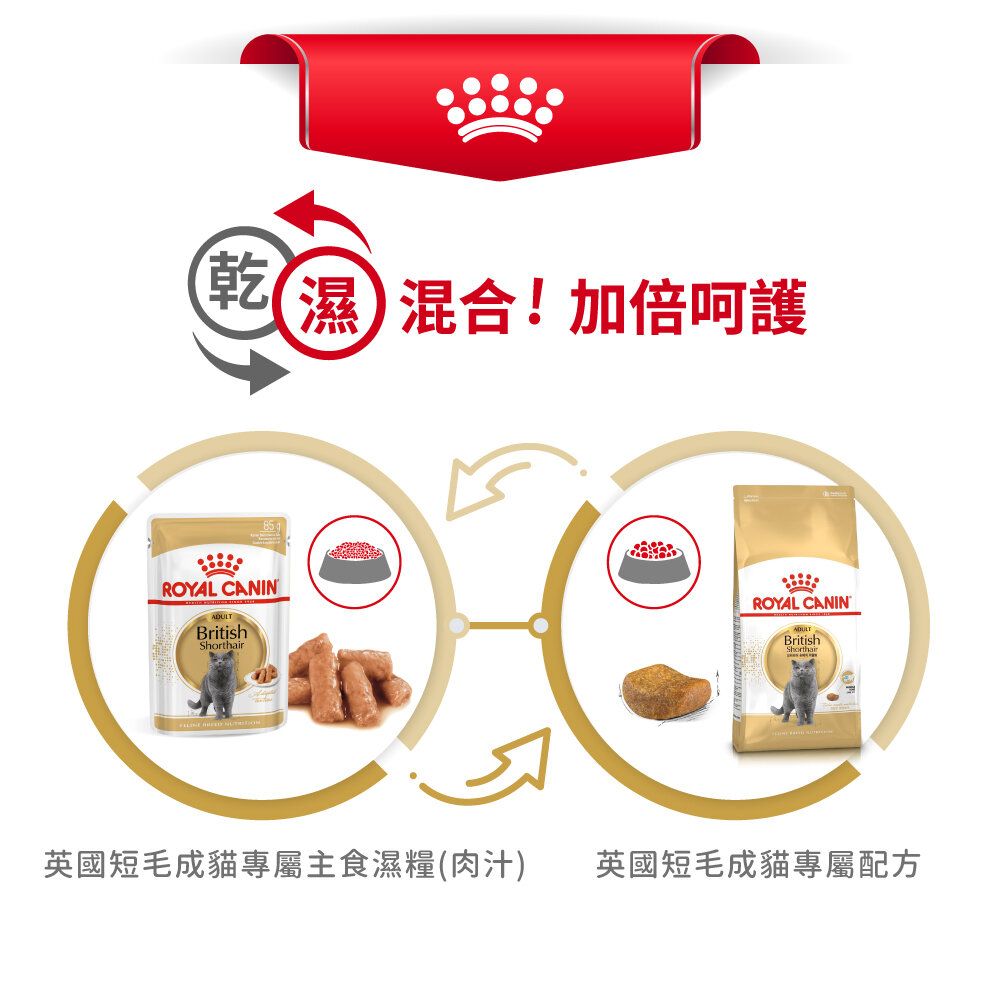 FBN 英國短毛成貓專屬配方 4公斤