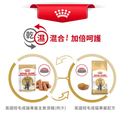 FBN 英國短毛成貓專屬配方 4公斤