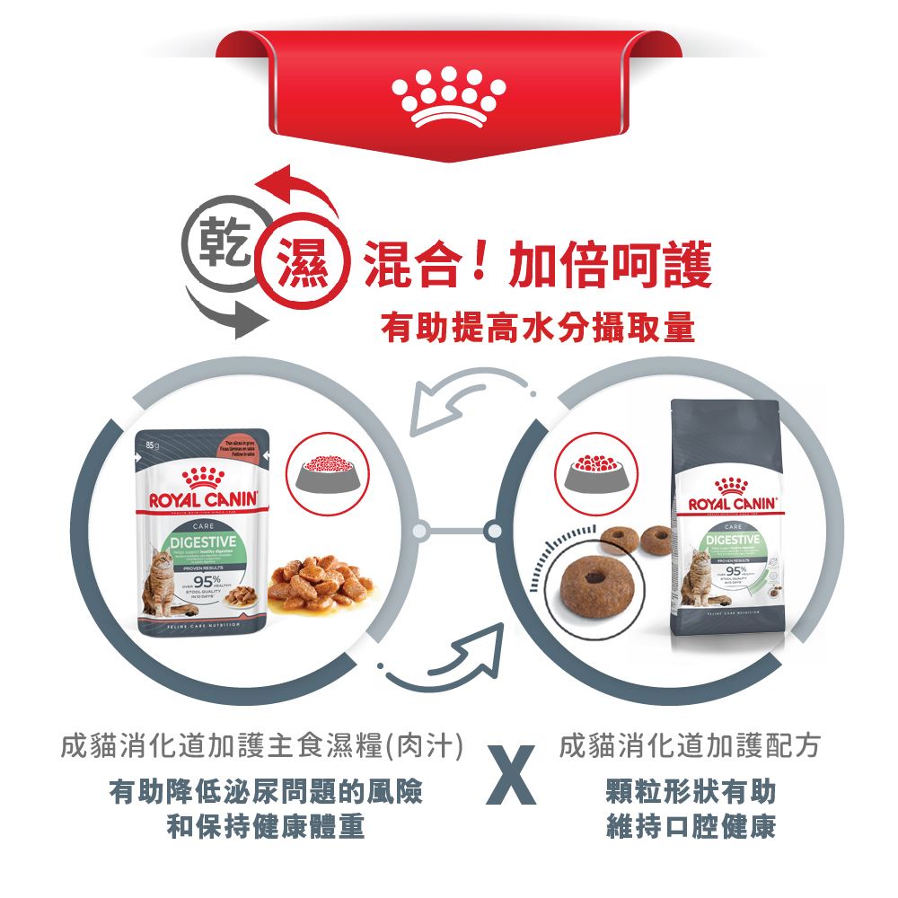 FCN 成貓消化道加護配方 4公斤