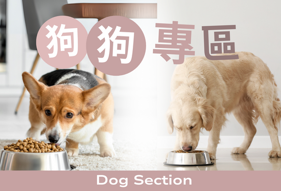 Dog Section