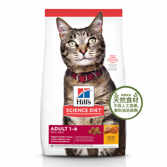 Hills Adult Cat 1-6 Everyday Series Dry Food 4kg