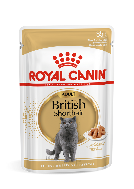 ROYAL CANIN FBN Adult British Shorthair Exclusive Wet Food Gravy 85g