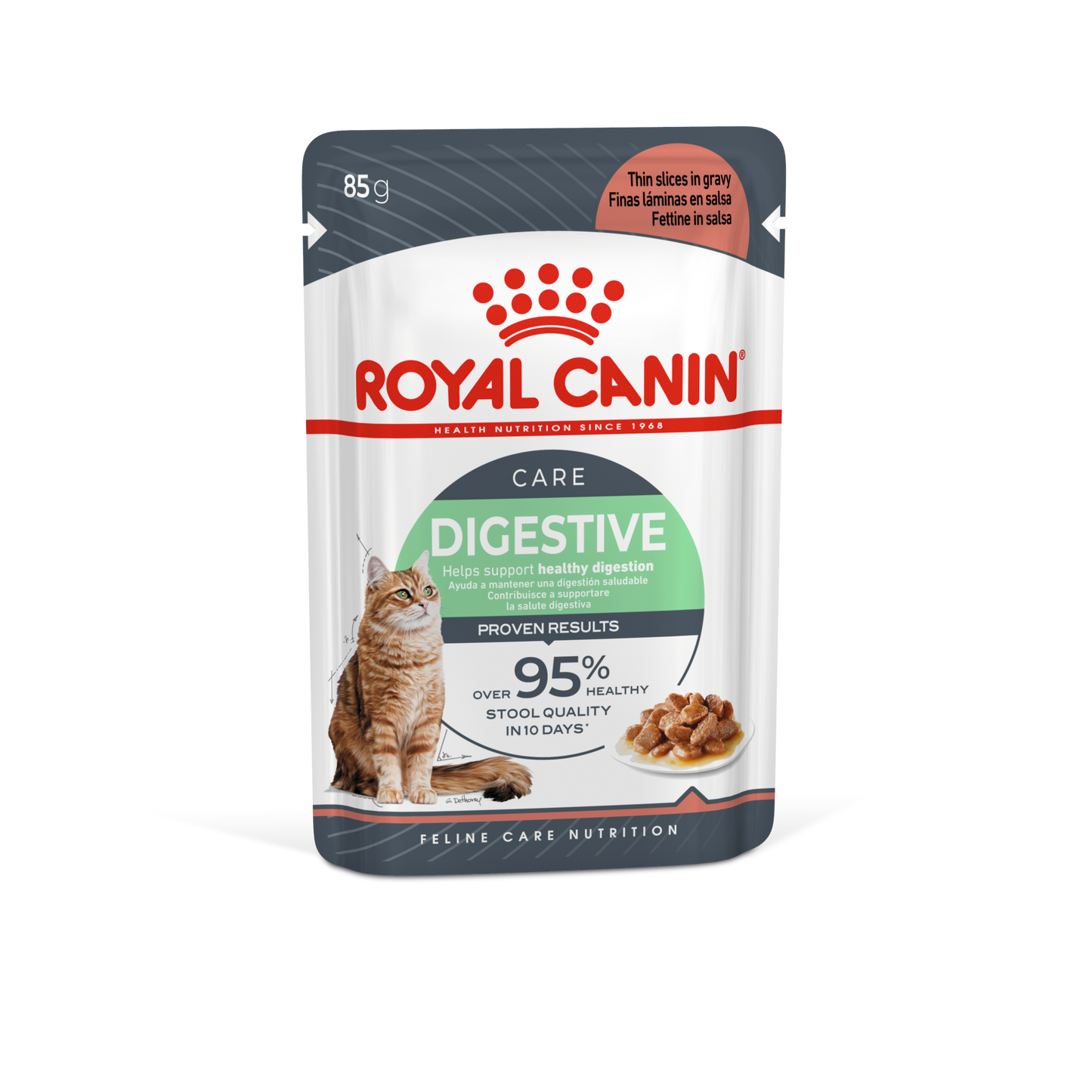 ROYAL CANIN FHN Adult Digestive Care Wet Food Gravy 85g