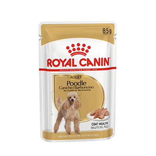 ROYAL CANIN Poodle Adult Dog Exclusive Wet Food Meat Chunk 85g