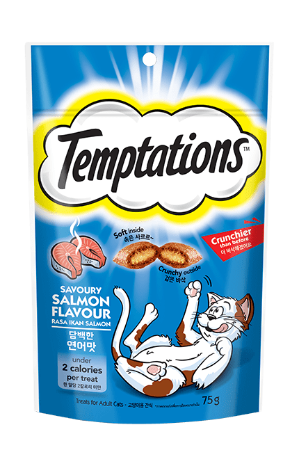 Temptations-Cat-Treats-Appetizing-Salmon-Flavor-75g
