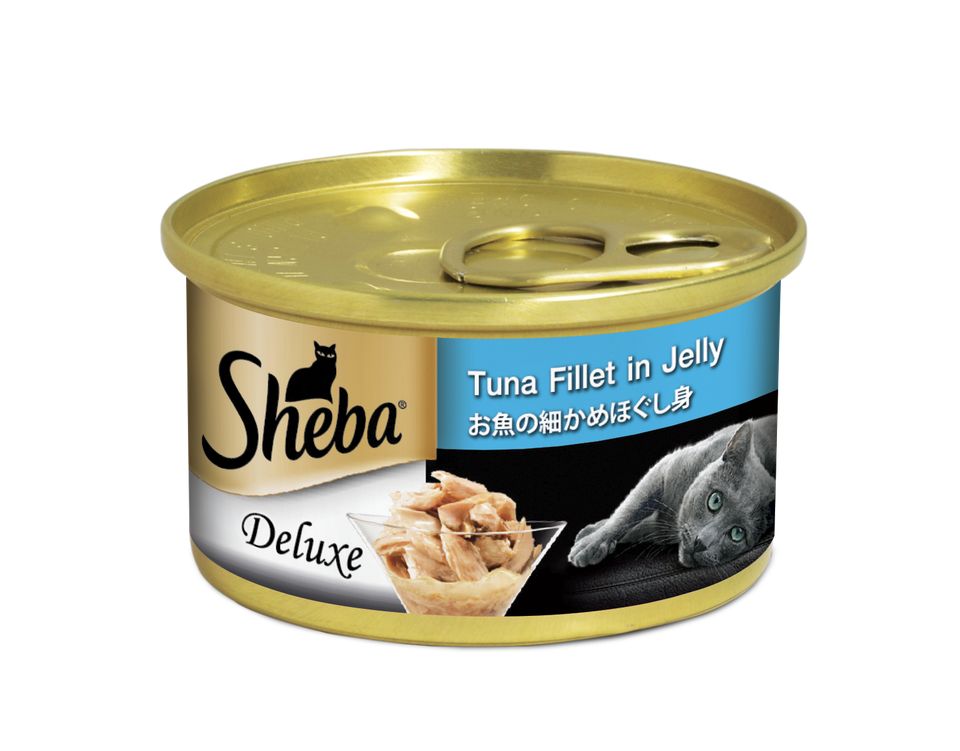 Temptations-Cat-Treats-Grilled-Chicken-Flavor-160g