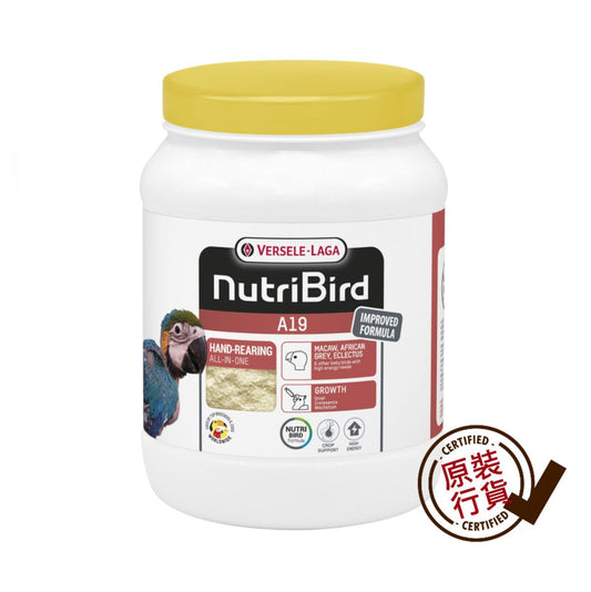 Versele Laga A19 Tropical Parrot Hand-Feeding Formula 800g  