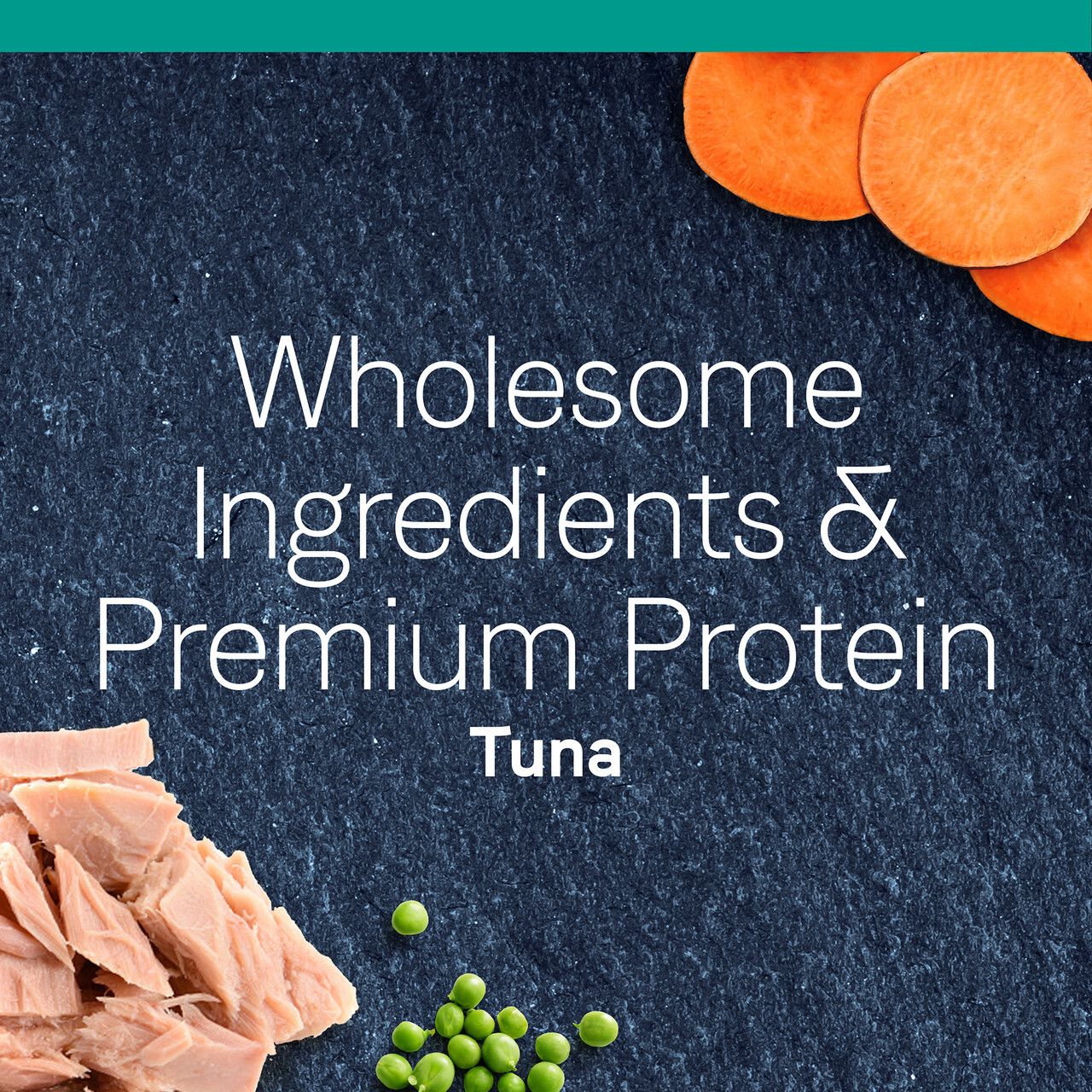 Canidae PURE 貓乾糧 - 適合室內貓的無穀物吞拿魚 2.3KG(5磅)